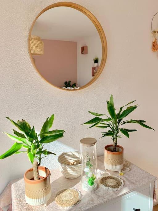 Apartment Springfields - En Proche Du Parlement Europeen Schiltigheim