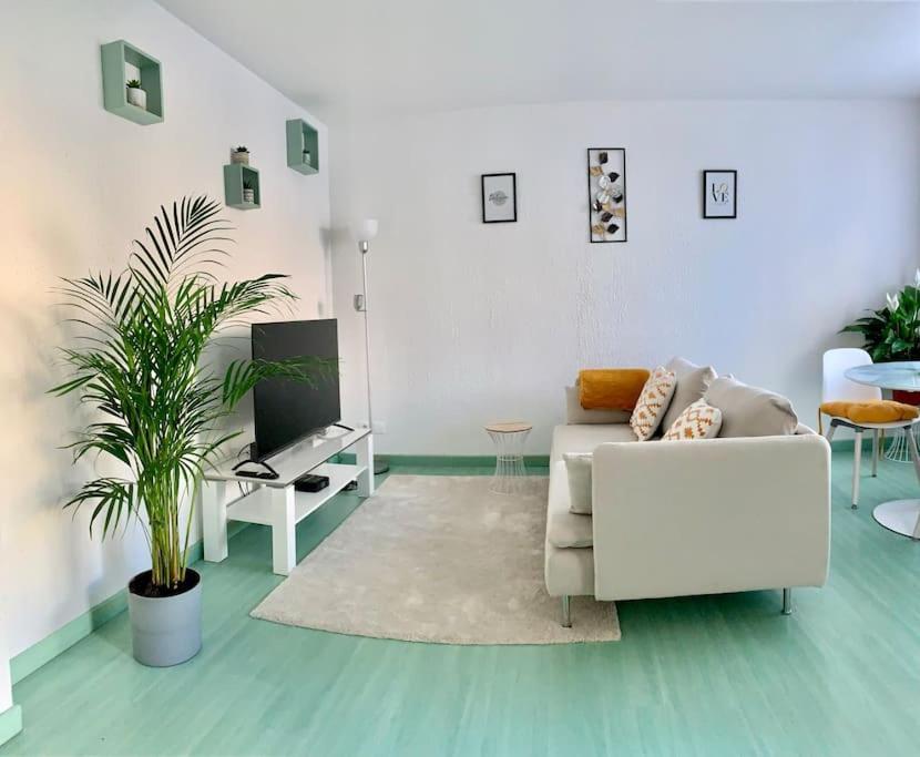 Apartment Springfields - En Proche Du Parlement Europeen Schiltigheim